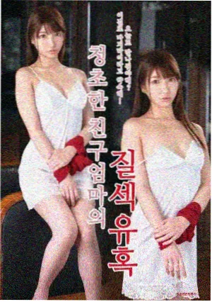 冰玉缀化株的多头生长点与半透明叶尖