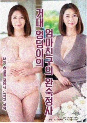 颗粒土配比试验中不同介质的分层对照